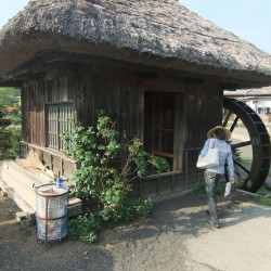 榛の木林資料館