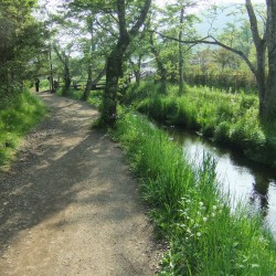 忍野八海