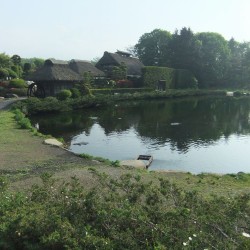 榛の木林資料館