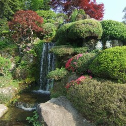 榛の木林資料館