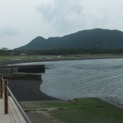 公園