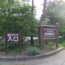 西湖