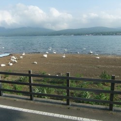 山中湖 