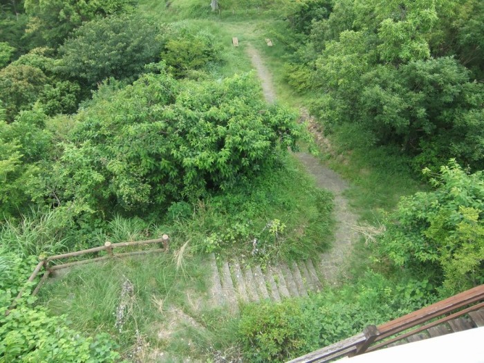 富士山が一望できる煌きの丘