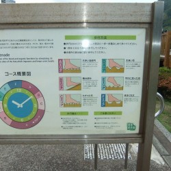 松原公園にある世界一の花時計