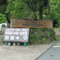 たぬき湖 