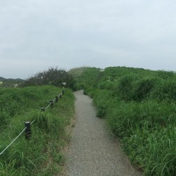 ゆうすげ公園