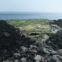 恵比須島