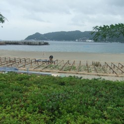 長浜海水浴場