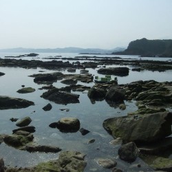 恵比須島