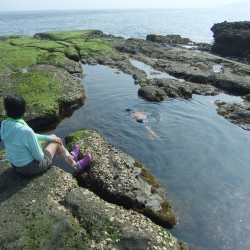 恵比須島