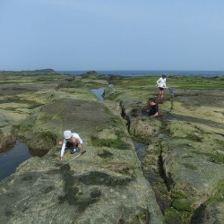 恵比須島