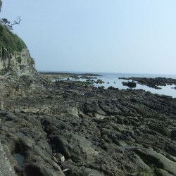 恵比須島