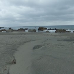 今井浜海水浴場