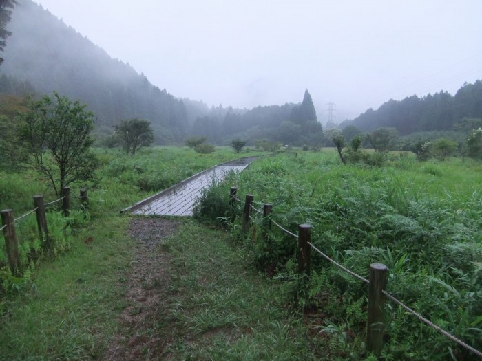 小田貫湿原