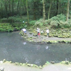 養鱒場