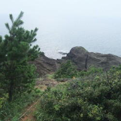 亀甲岩 