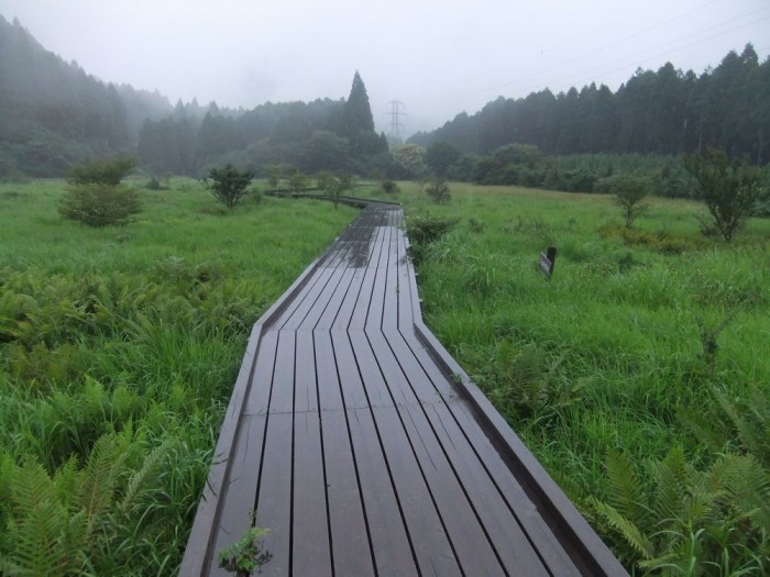 小田貫湿原