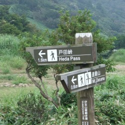 達磨山