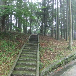 陣場の滝