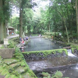 養鱒場・