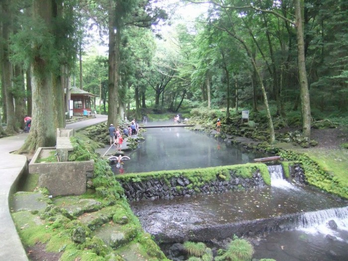 養鱒場・