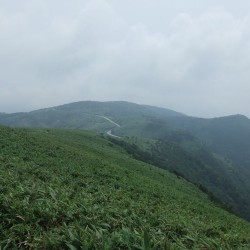 ダルマ山