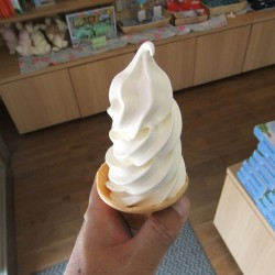 売店でアイスクリーム