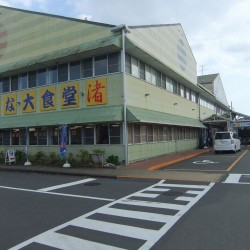 焼津魚センター・養鱒場・白糸 049