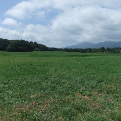 牧場・美術館・ロープウエイ・道の駅 011