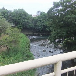 五流の滝・かきたがわ・沼津港 083