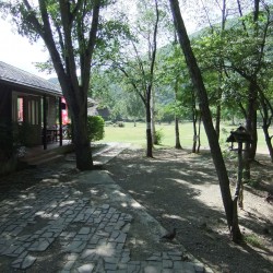 野鳥の森公園