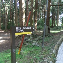 吉田口遊歩道