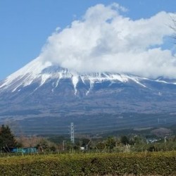 富士山