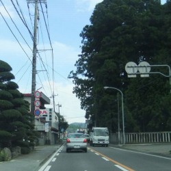 御殿場・吉田口・五合目 146