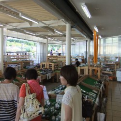 道の駅・富士吉田