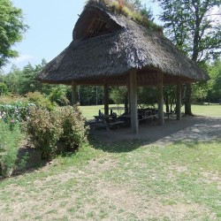 「野鳥の森公園」