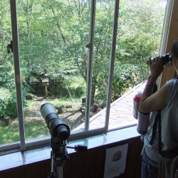 「野鳥の森公園」