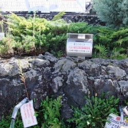 富士山の湧き水