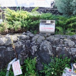 富士山の湧き水