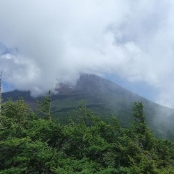 奥庭自然散策路