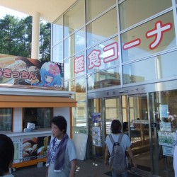 吉田のうどん