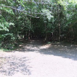 自然散策路