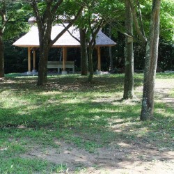 「野鳥の森公園」