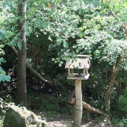 「野鳥の森公園」