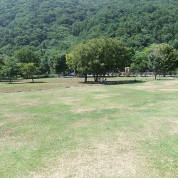 「野鳥の森公園」