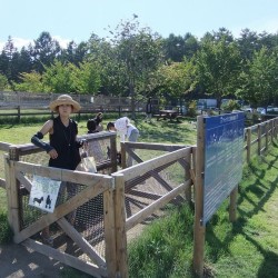 富士山レーダードーム館