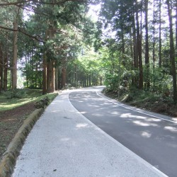 吉田口遊歩道