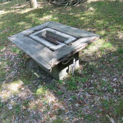 「野鳥の森公園」