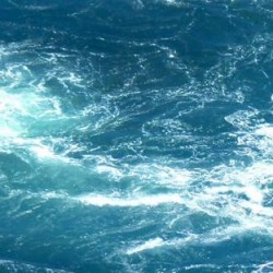 海